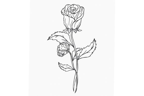 A Red Rose Embroidery Review