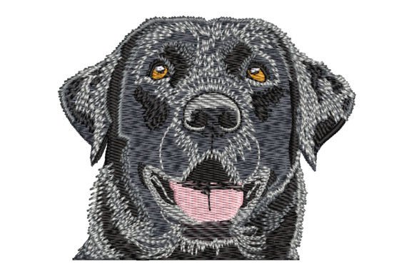 Black Labrador Retriever Embroidery Design